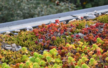 the cost of Brereton green roof installation