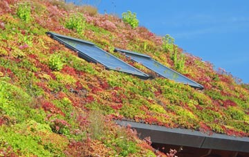 Brereton living roof systems