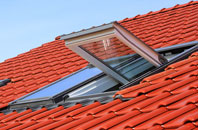 Brereton roof window